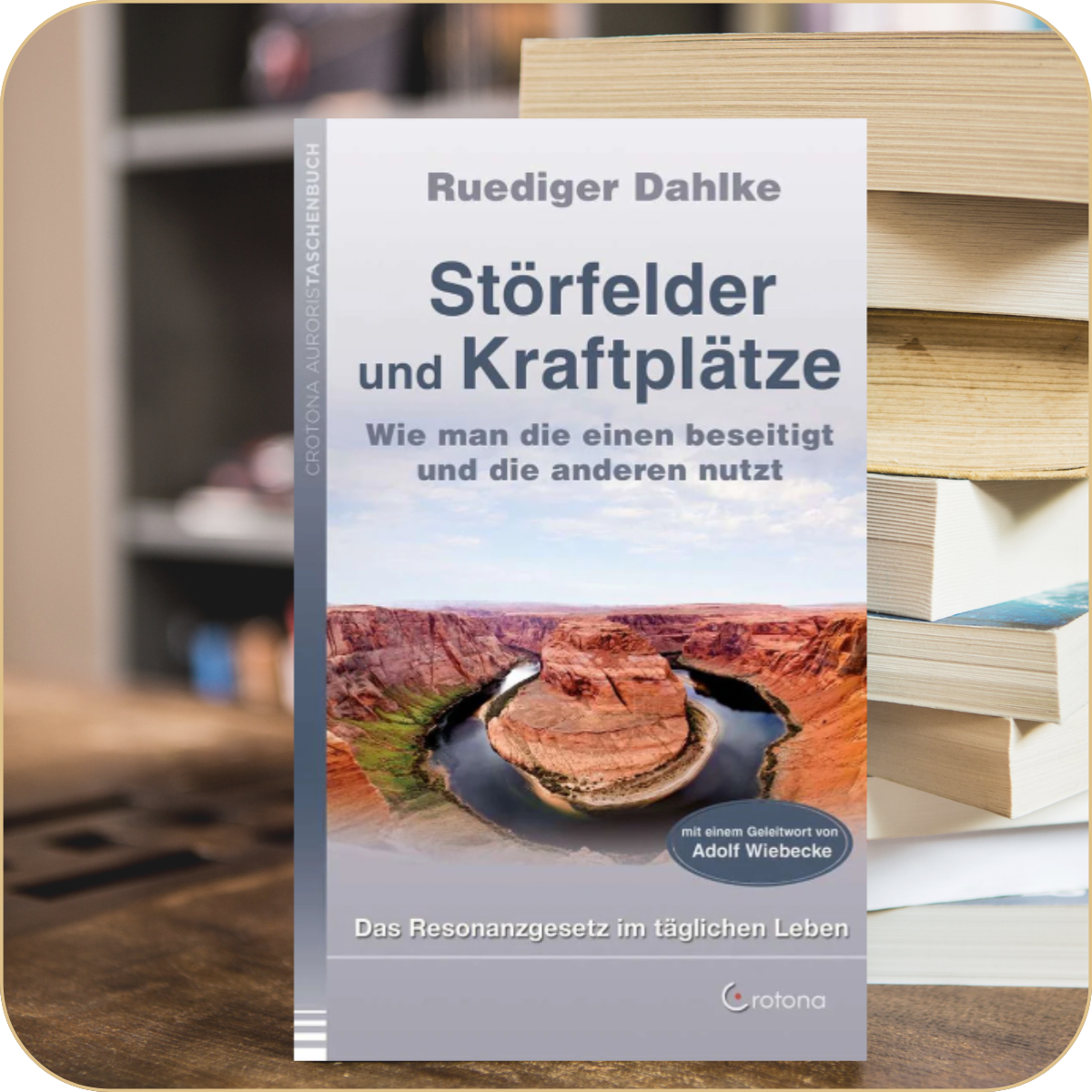 Dr. Ruediger Dahlke „Störfelder und Kraftplätze“