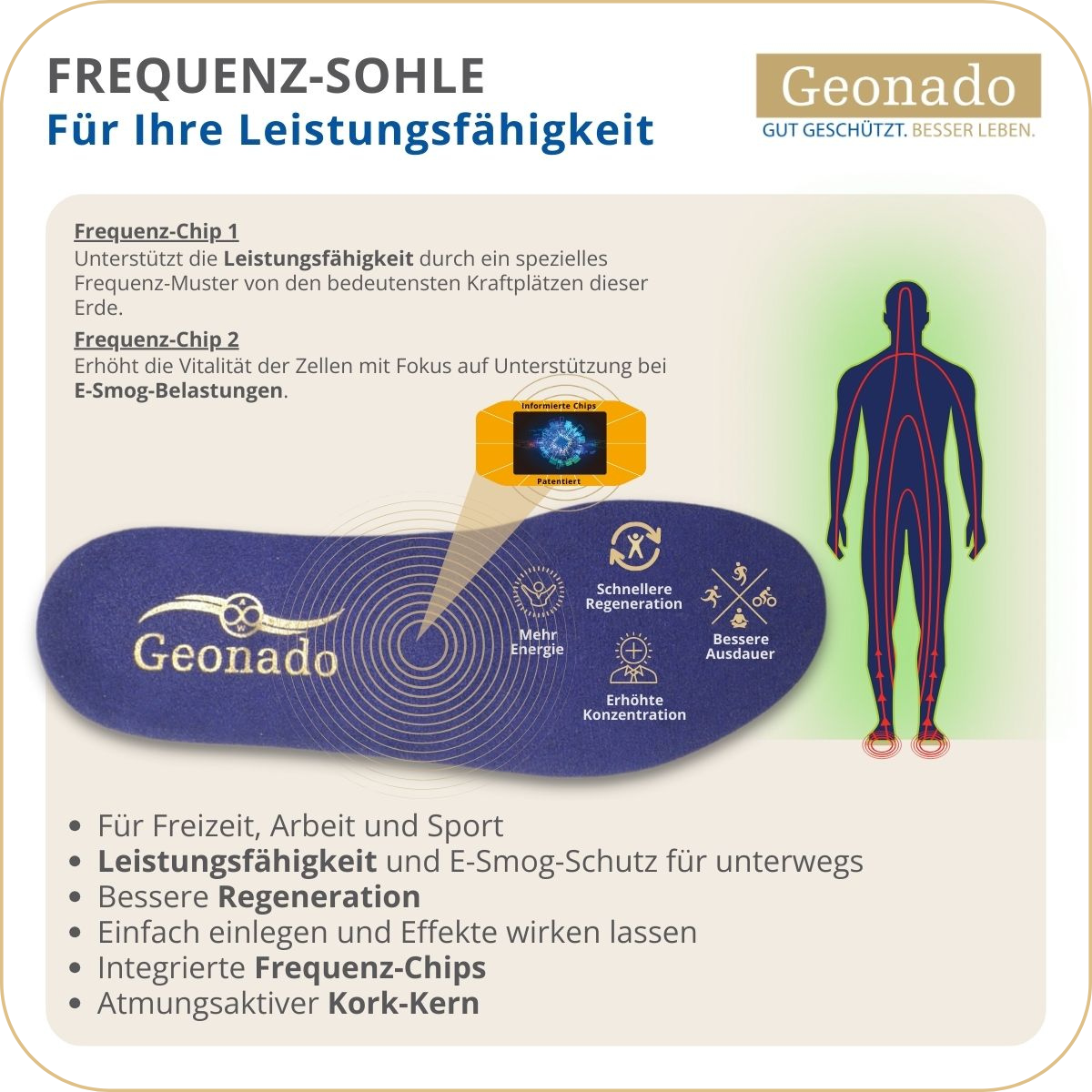 BASIS Schutz für Unterwegs